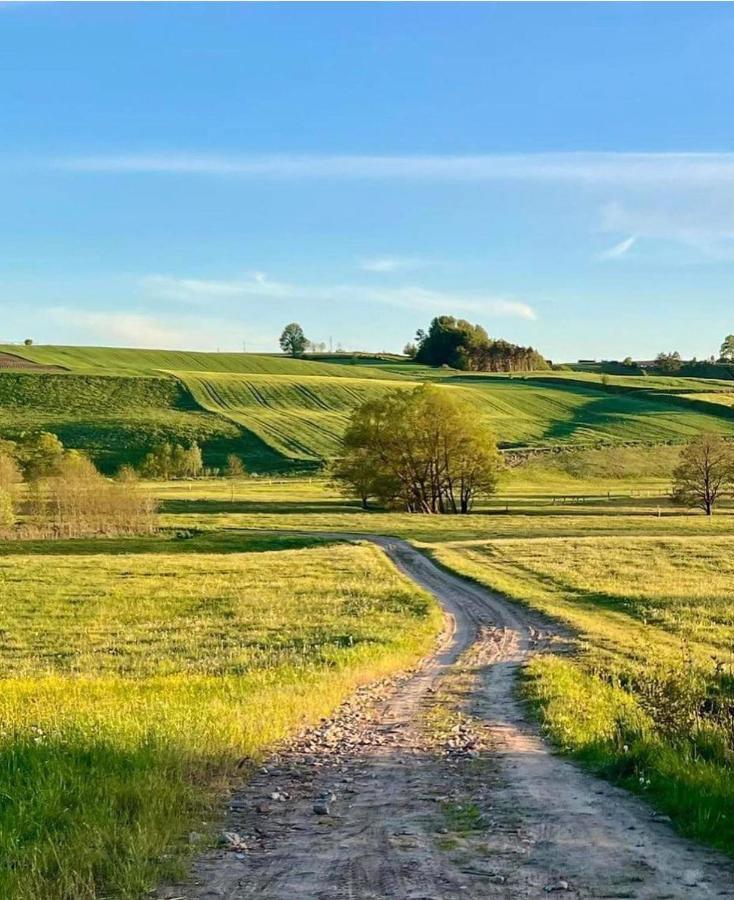 Вилла Domek Matylda- Kaszuby Nowe Czaple  Экстерьер фото